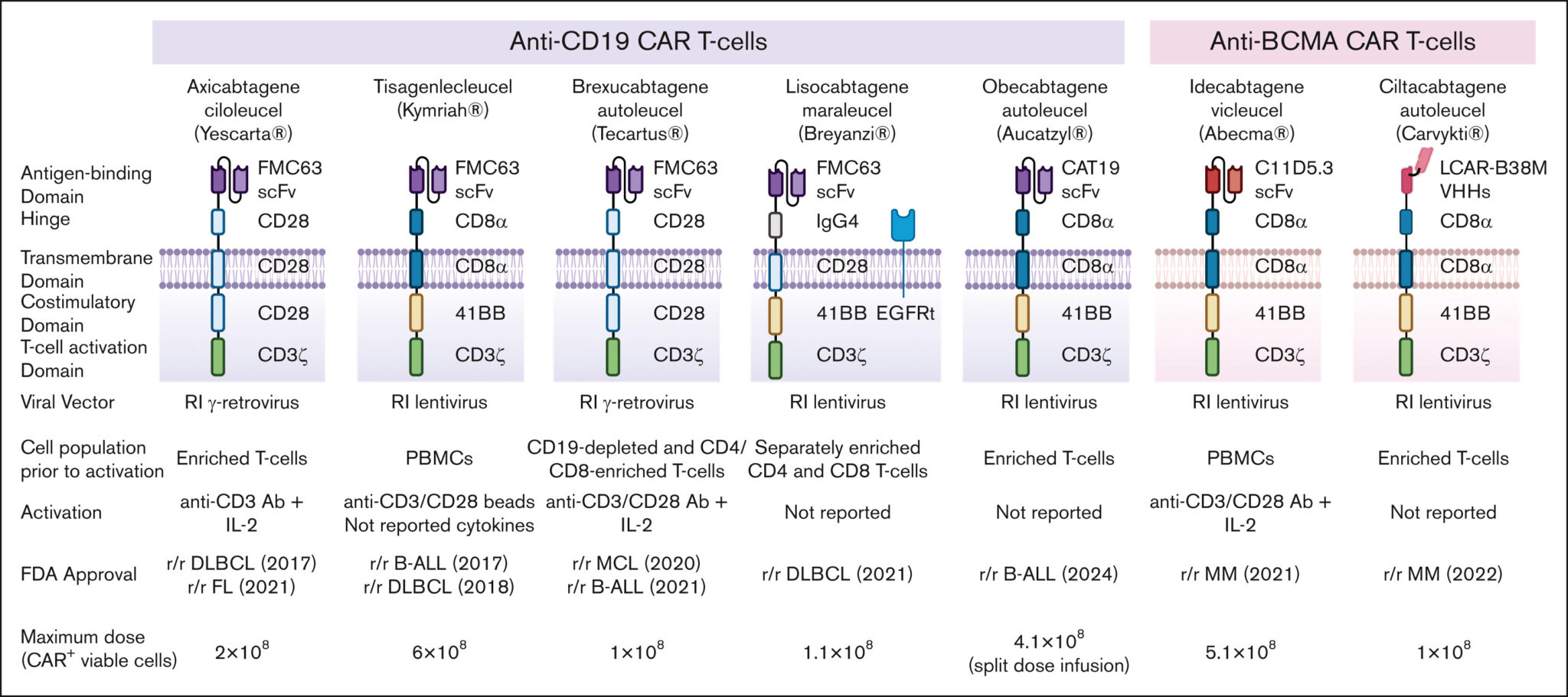 In vivo generation of CAR T cells: biology, delivery platforms ...